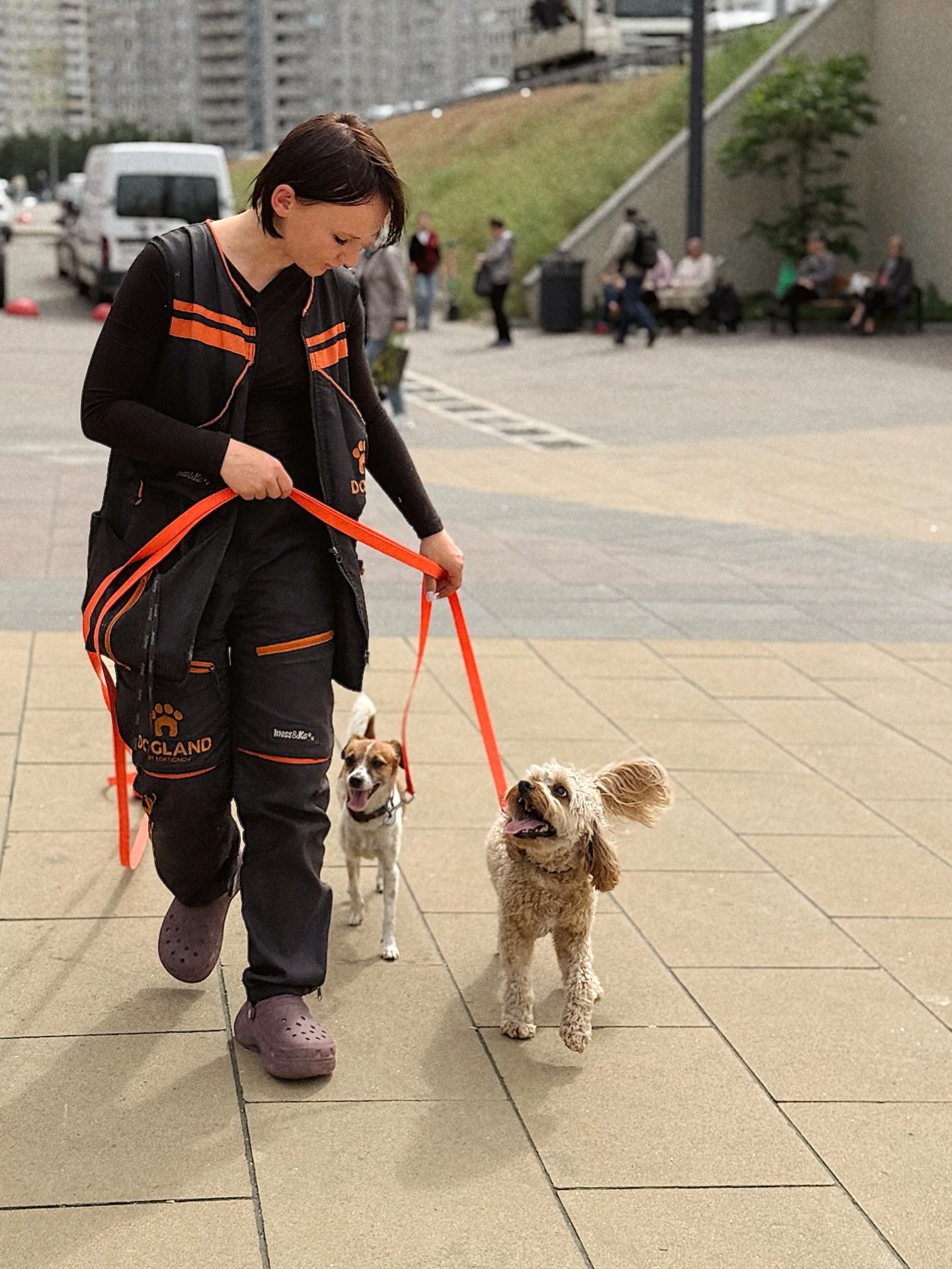 Собака - не игрушка: как воспитать друга, а не проблему, - интервью с кинологом