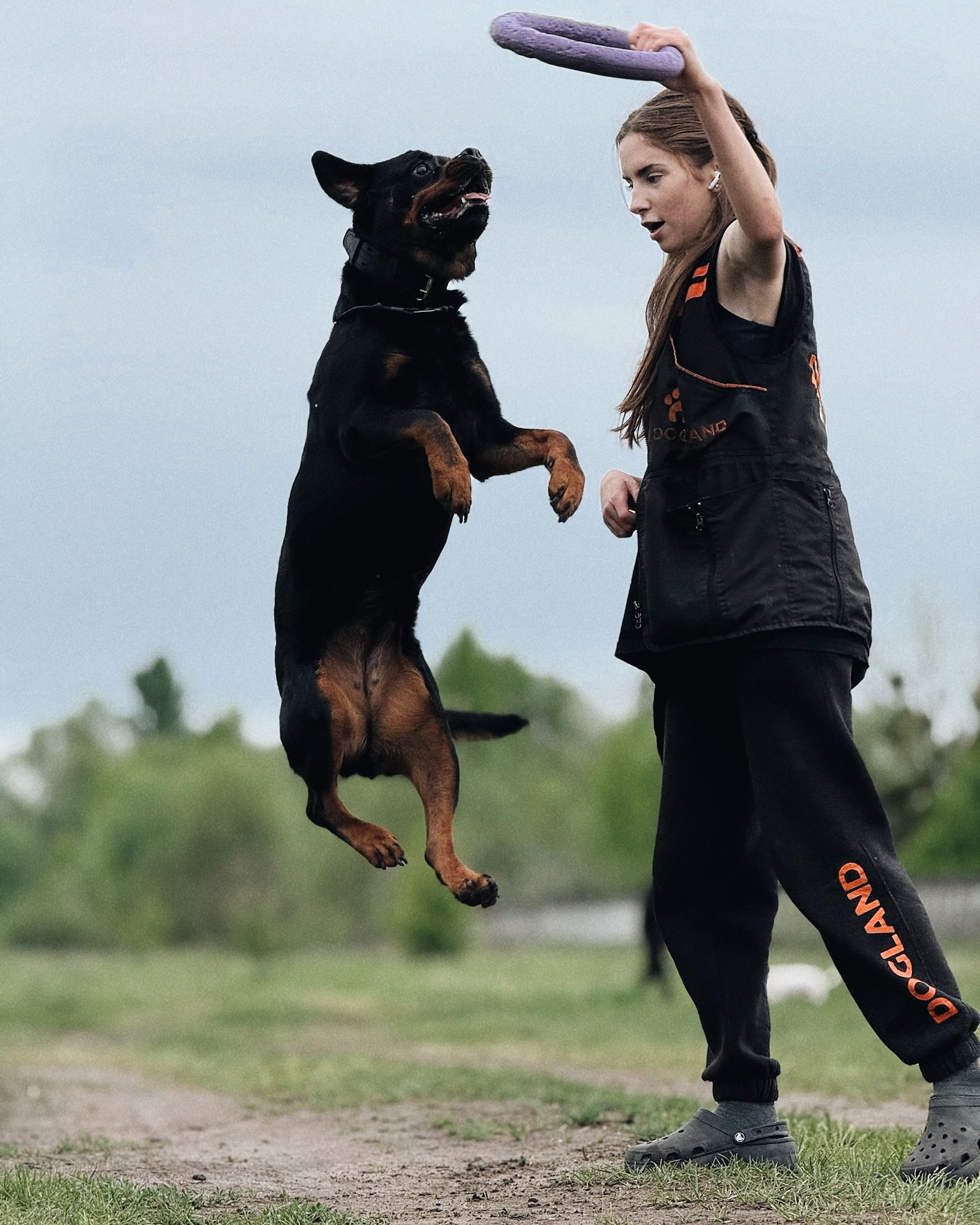 Собака - не игрушка: как воспитать друга, а не проблему, - интервью с кинологом