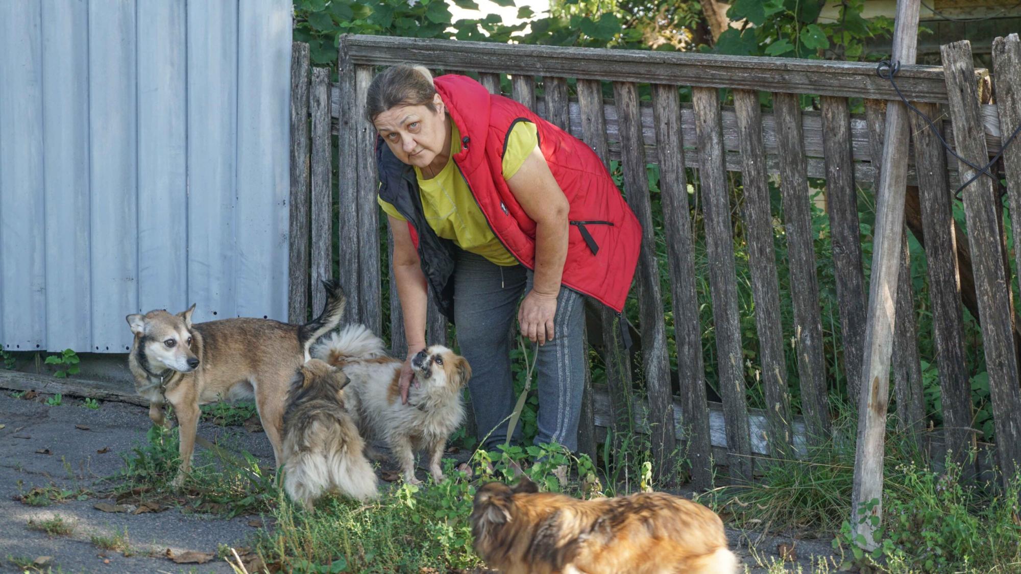 Переселенка с Донбасса спасла более 40 животных: всех забрала с собой в безопасное место