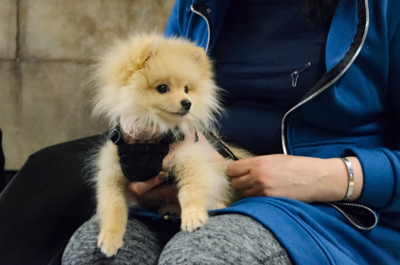 Истории из "подземки". Как живут и о чем мечтают люди в киевском метро