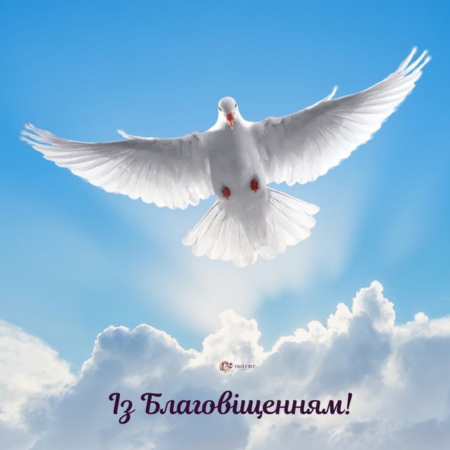 Благовещение 2025: красивые поздравления, стихи и открытки для родных и друзей