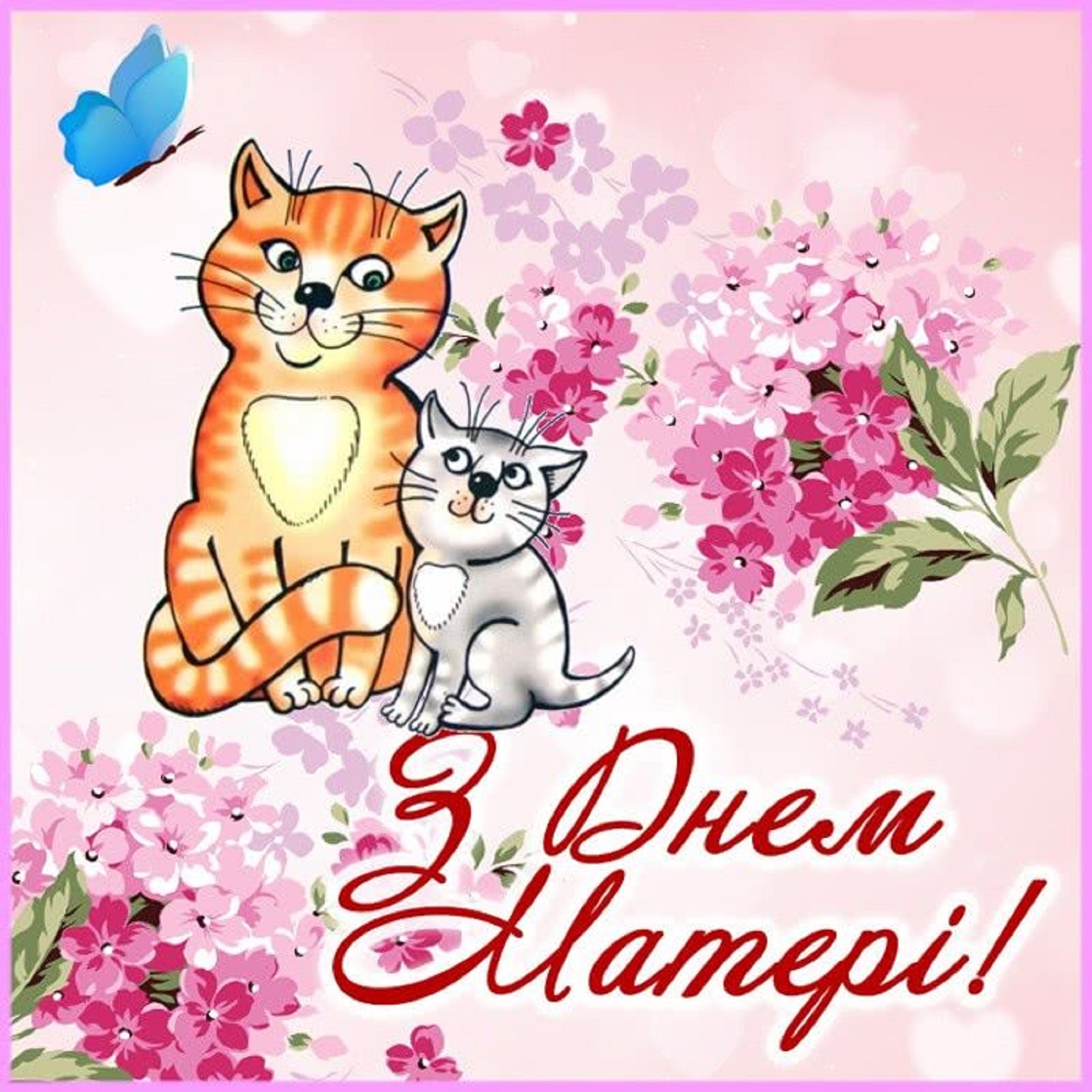 С Днем матери: самые теплые поздравления для мамы в открытках, стихах и своими словами