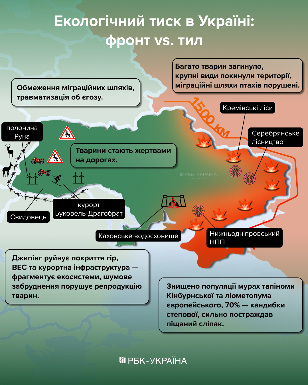 Тварини тікають, а праліси забудовують: що насправді відбувається в Карпатах під час війни