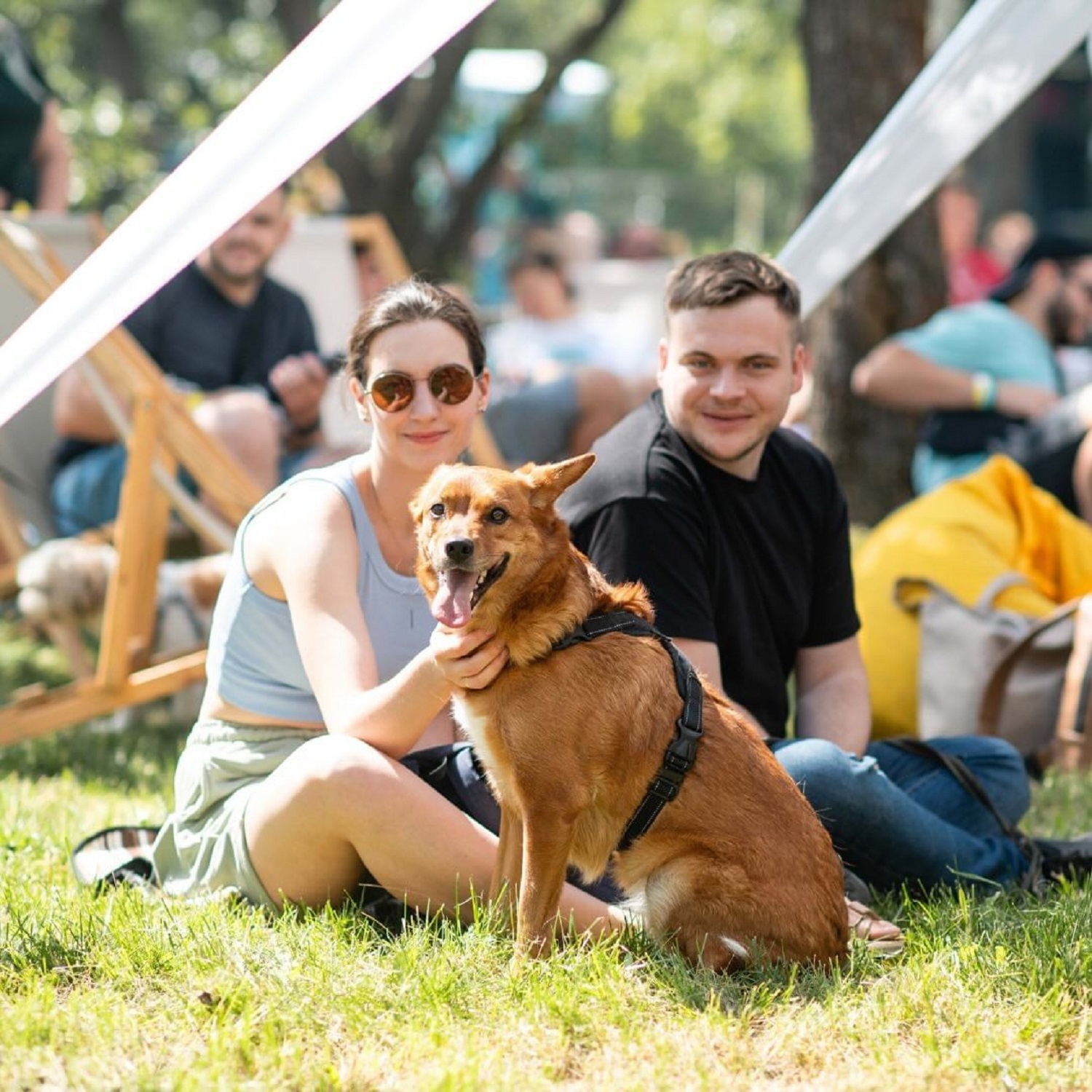 Від К-Pop Fest до Макса Барських. Куди варто піти у Києві у серпні