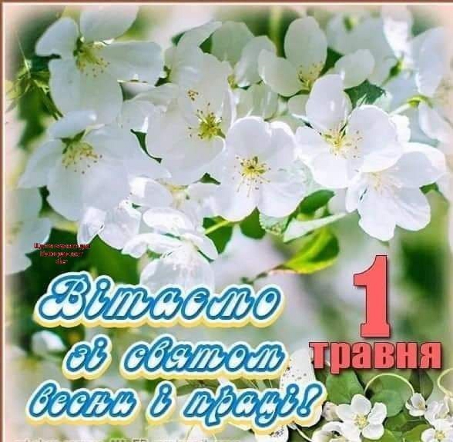 З 1 травня! Гарні привітання для рідних і друзів - у прозі, віршах і листівках