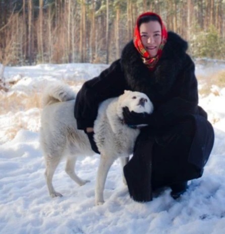 У Гостомелі собака 4 місяці чекав повернення господарів: зворушлива історія