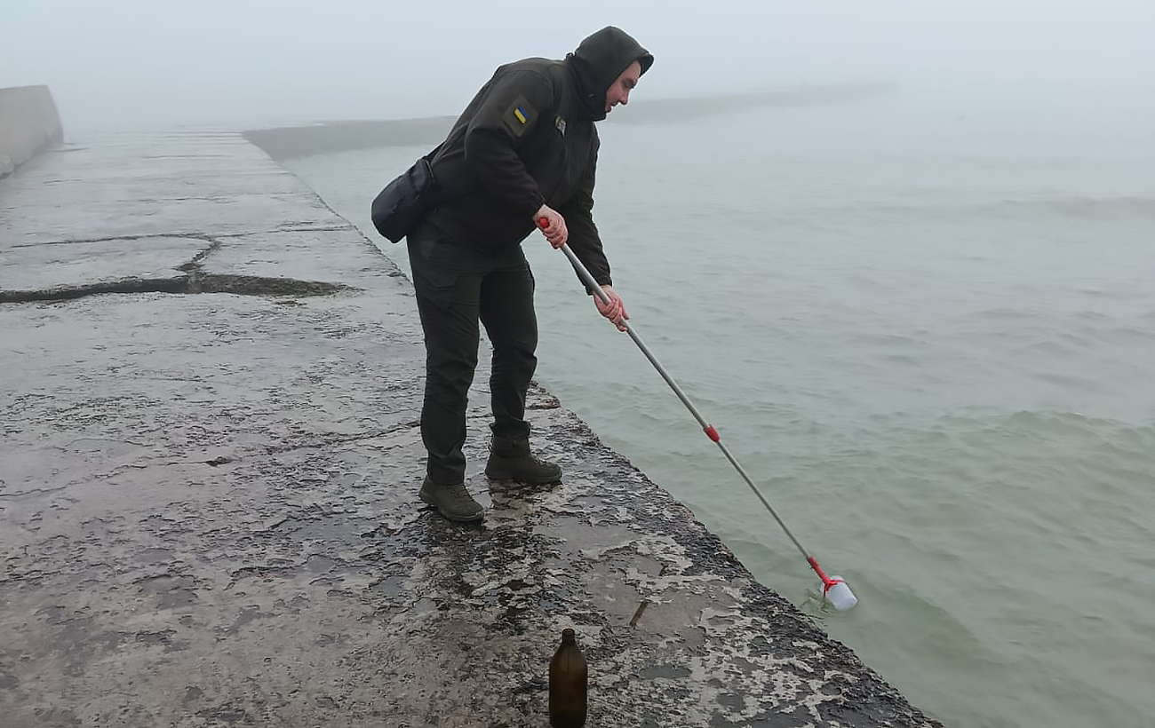 В Одесі зафіксували масовий викид морських коників: що кажуть екоінспектори