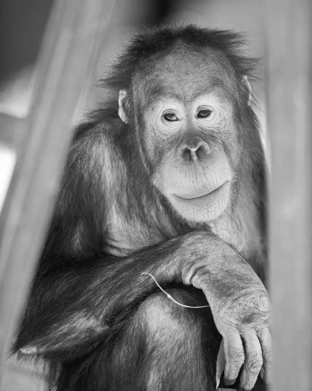 Экс-нардеп от ОПЗЖ - россиянам: "ублюдки, с кем вы воюете?"