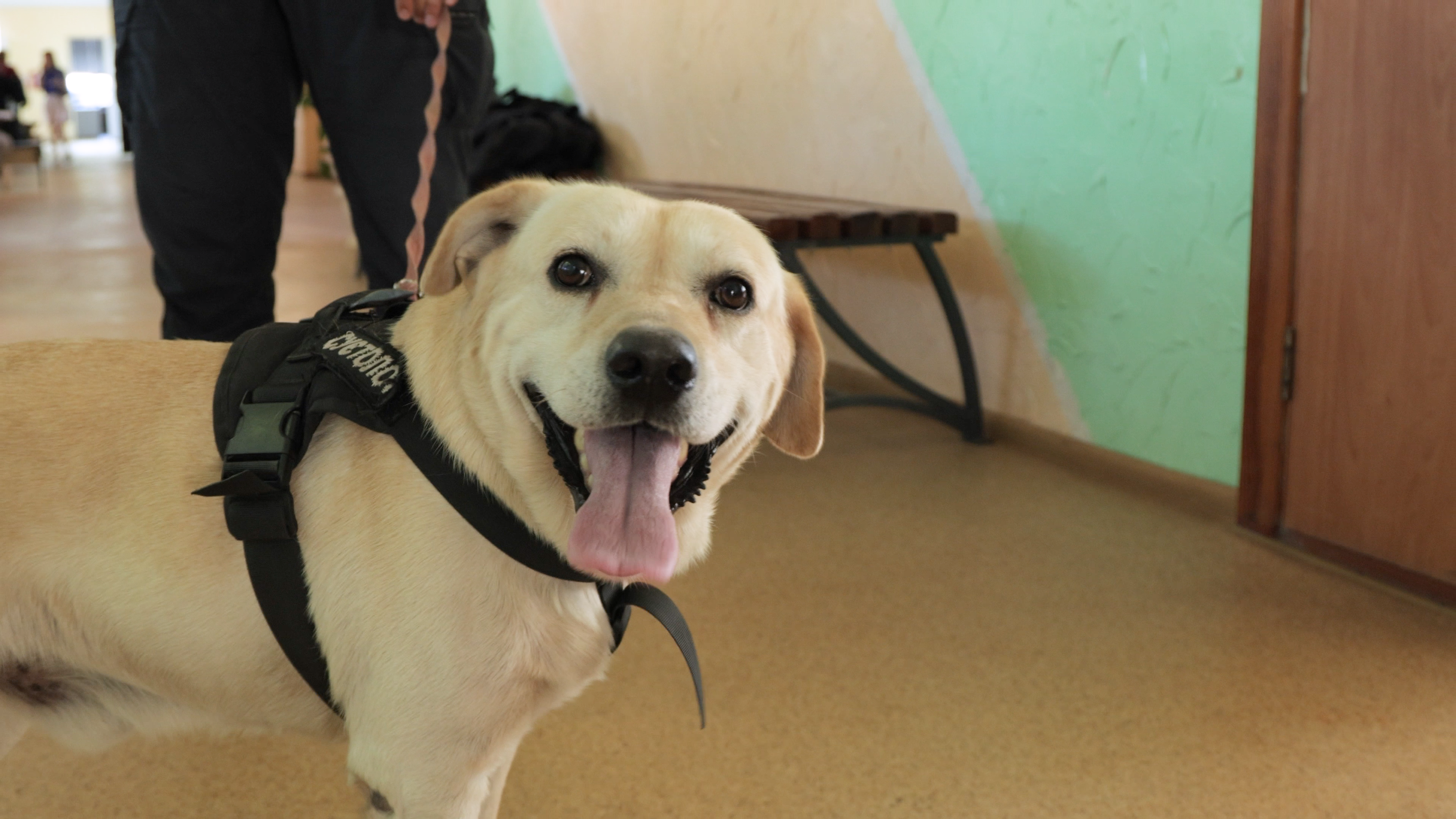 "Місто стирають з лиця землі". Як переселенці з Донеччини шукають захисту від війни