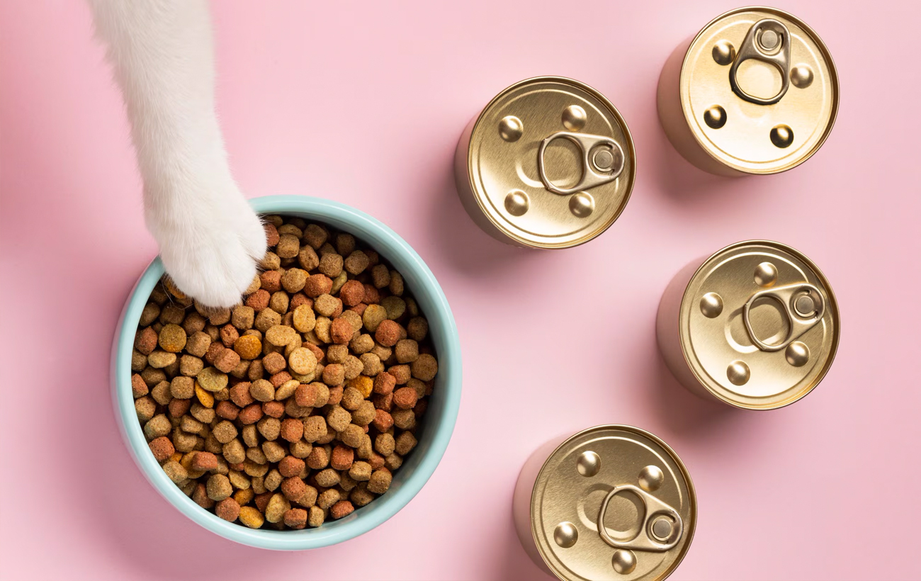 Это бомба замедленного действия: о каких рисках дешевого корма для здоровья кота или собаки вы точно не знаете