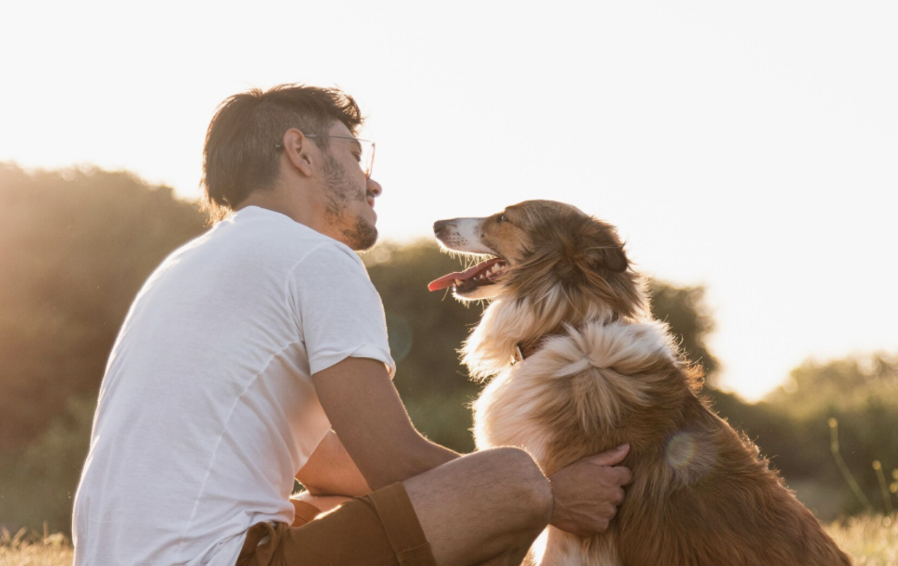 Собаки можуть передбачати майбутнє: містика, природний дар чи все ж є наукове пояснення?