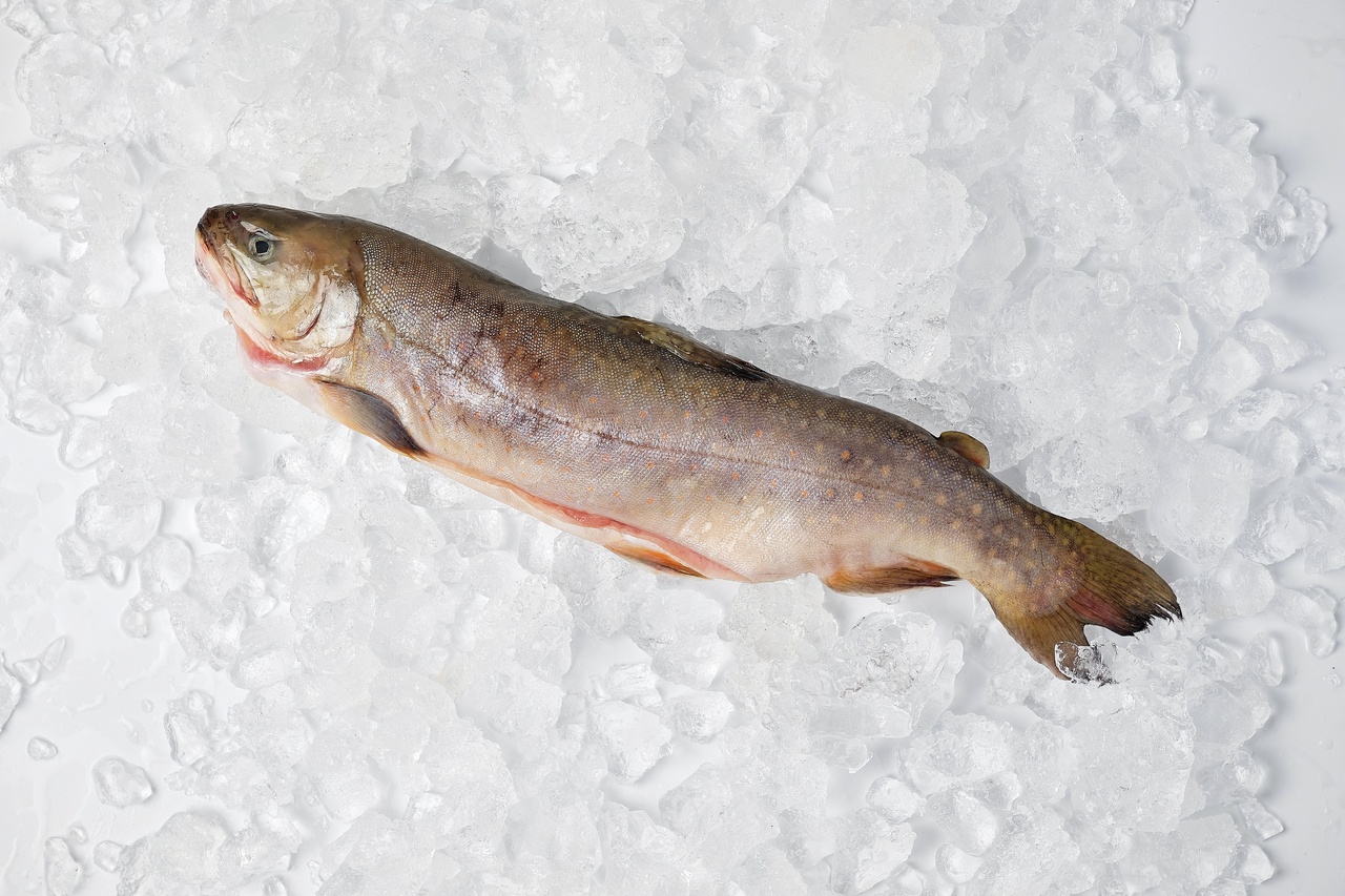 Названы 5 самых полезных рыб, которые нужно есть всем