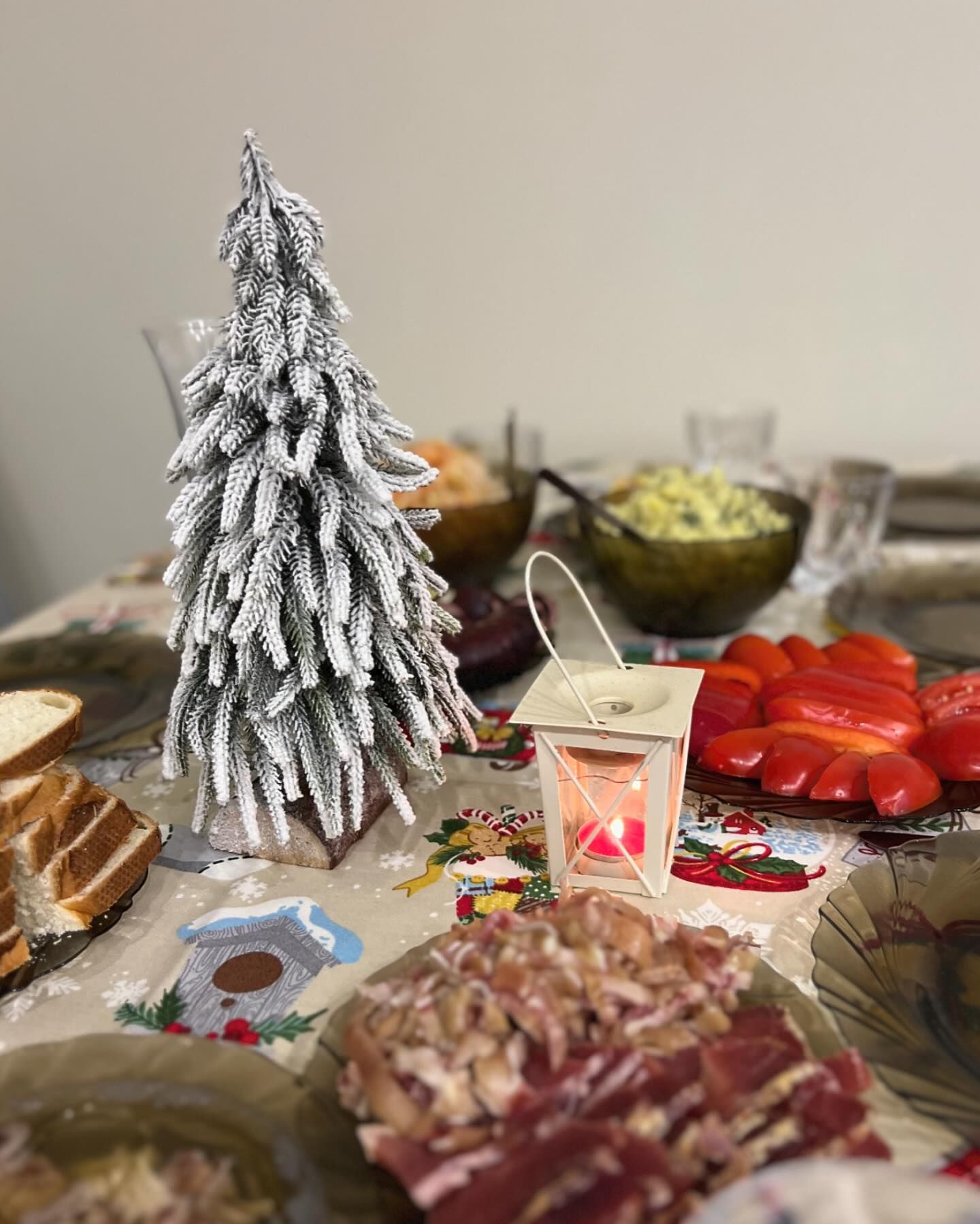 Як зірки відзначили Новий рік 2024: Мірошниченки, Осадча, Квіткова та інші (фото)