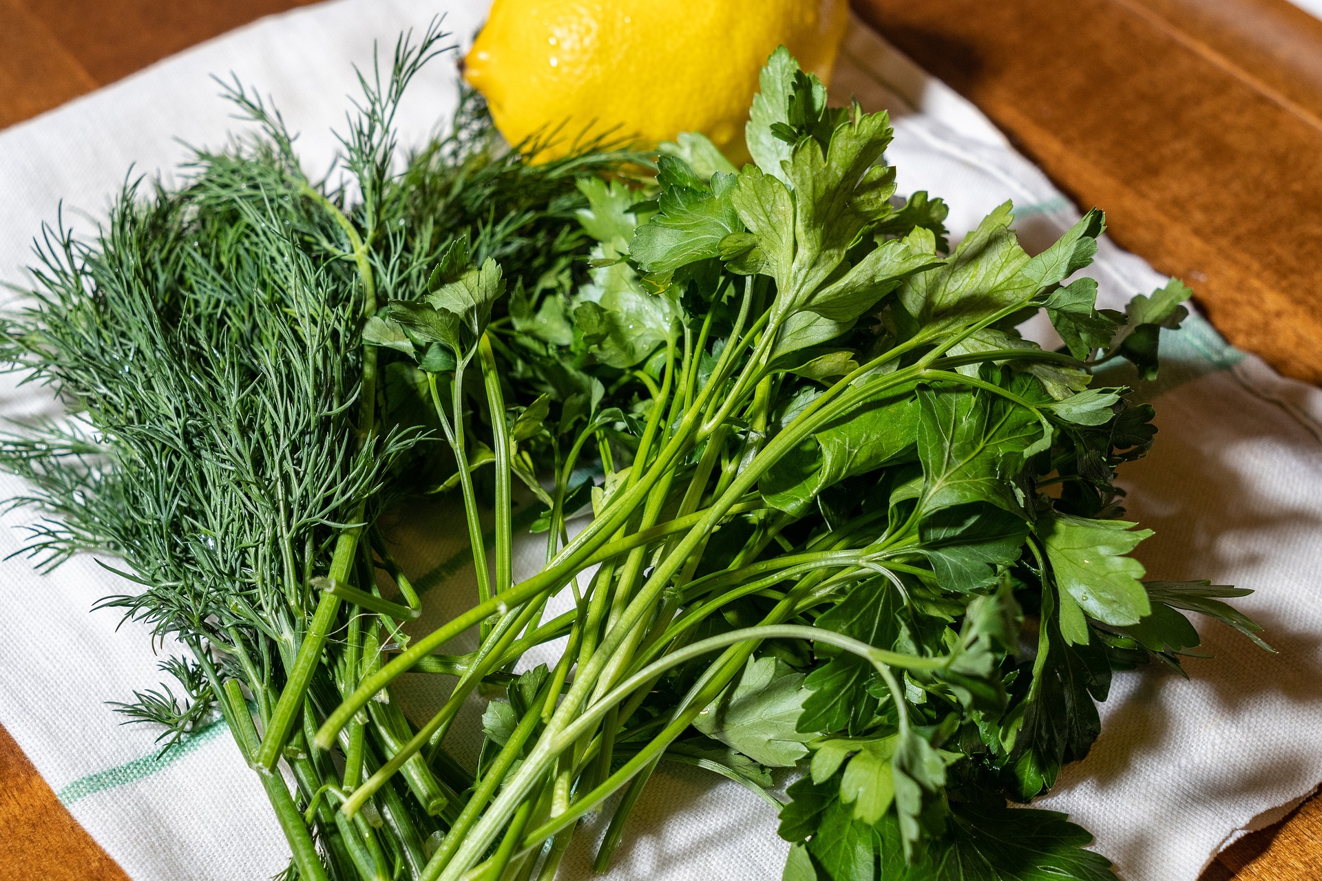 7 рослин, які ще не пізно посадити в листопаді та отримати ранній урожай