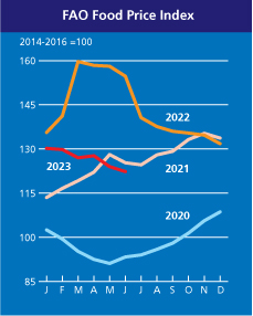 Зерно, олія та цукор дешевшають: світові ціни на продовольство впали до мінімуму за 2 роки