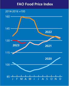Світові ціни на продовольство зросли після падіння протягом 12 місяців