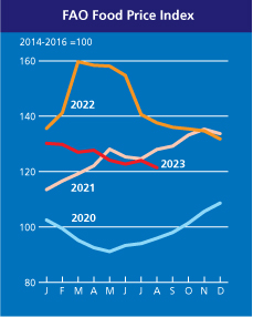 Зерно, олія та молоко дешевшають: світові ціни на продовольство впали до мінімуму за 2,5 роки