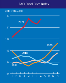 Світові ціни відновили зростання. За рік продовольство подорожчало на 33%