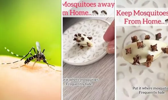 Это простое средство поможет избавиться от комаров в доме: есть на каждой кухне