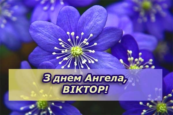 С Днем ангела Виктора: лучшие поздравления для именинников 11 сентября