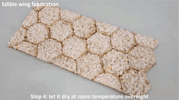 Винахідники створили їстівний дрон: навіщо його їсти (фото)