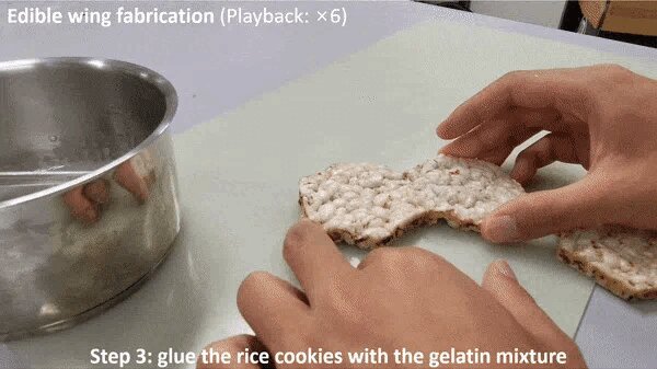 Винахідники створили їстівний дрон: навіщо його їсти (фото)