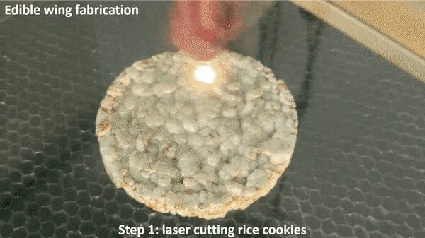 Винахідники створили їстівний дрон: навіщо його їсти (фото)