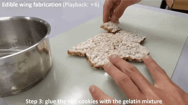 Винахідники створили їстівний дрон: навіщо його їсти (фото)