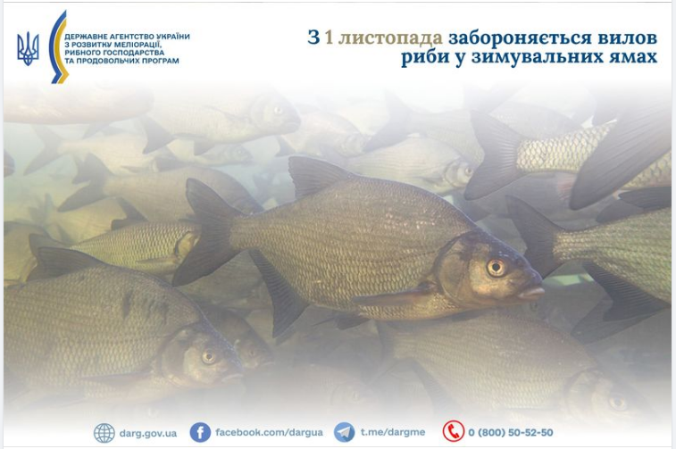 Сезонні зміни для рибалок. Де українцям заборонили ловити рибу та як не отримати штраф