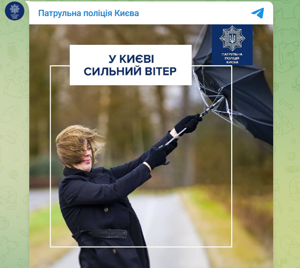 Зірвані дахи й повалені дерева: наслідки негоди в Києві (фото, відео)