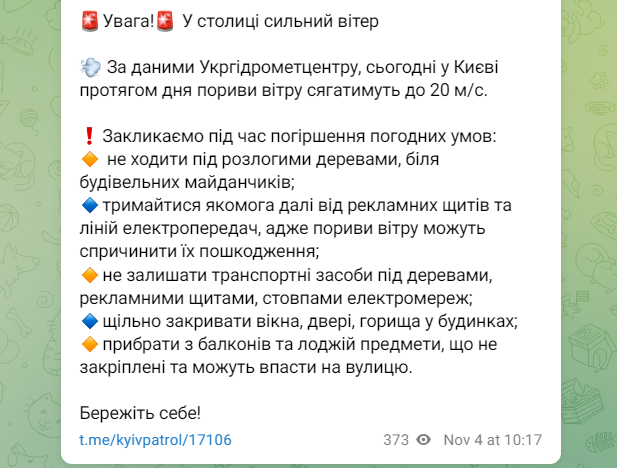 Зірвані дахи й повалені дерева: наслідки негоди в Києві (фото, відео)