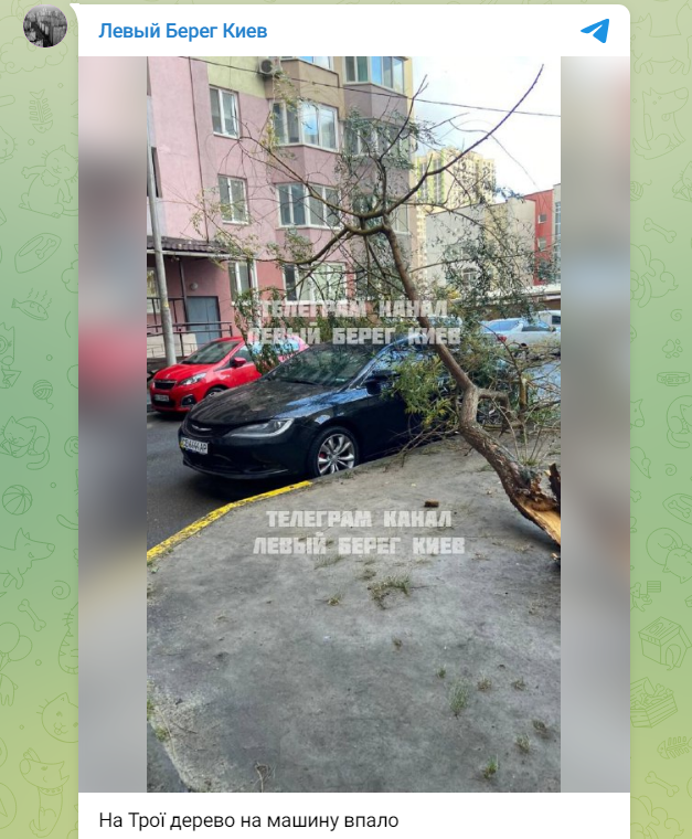 Зірвані дахи й повалені дерева: наслідки негоди в Києві (фото, відео)