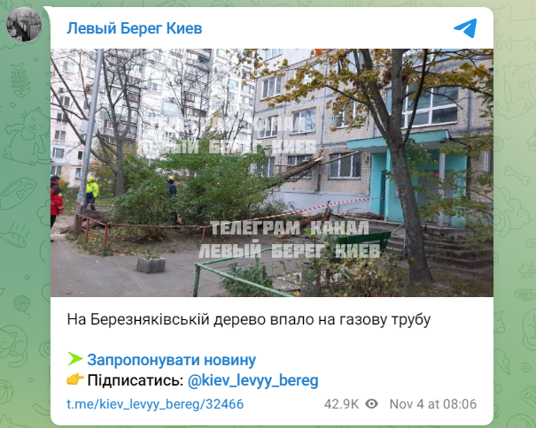 Зірвані дахи й повалені дерева: наслідки негоди в Києві (фото, відео)