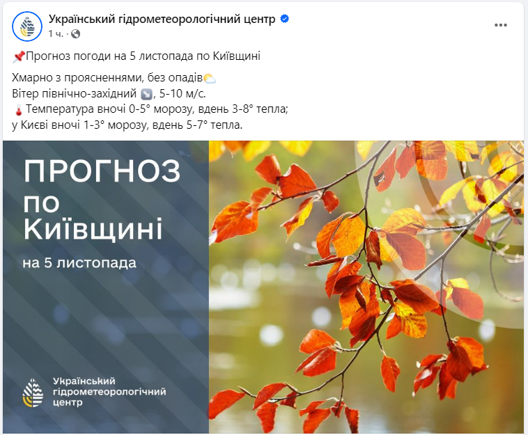 Стоит ли ждать снега в Киеве и области: ответ синоптика