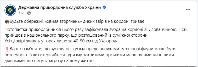 Навіть зубр. Українців попередили про "хвилю вторгнень" диких звірів на кордоні (фото)