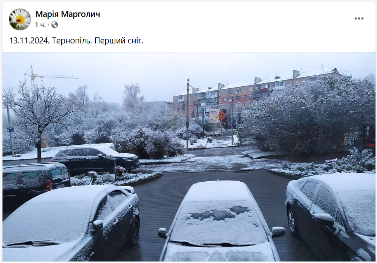 Деякі регіони України почало засипати снігом (фото, відео)