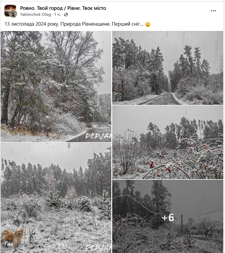 Деякі регіони України почало засипати снігом (фото, відео)