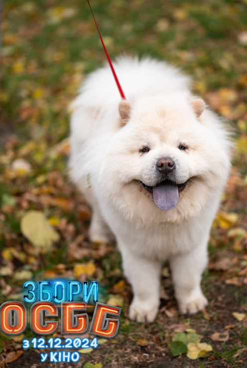 "Збори ОСББ" с Лебигой и Сумской. Смотрите первый трейлер новогодней комедии