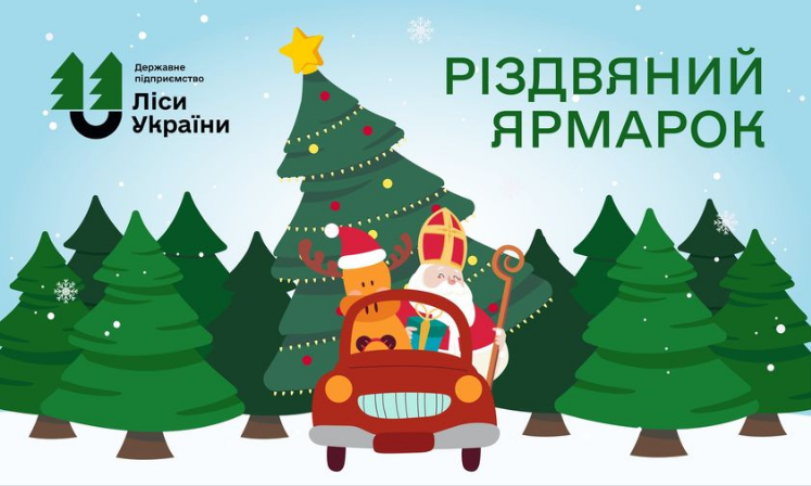 Цены удивят? Сколько будут стоить "живые" елки в этом году