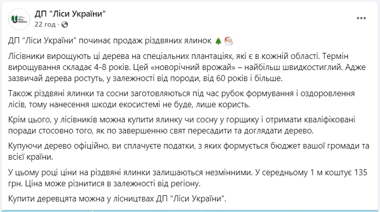 Цены удивят? Сколько будут стоить "живые" елки в этом году