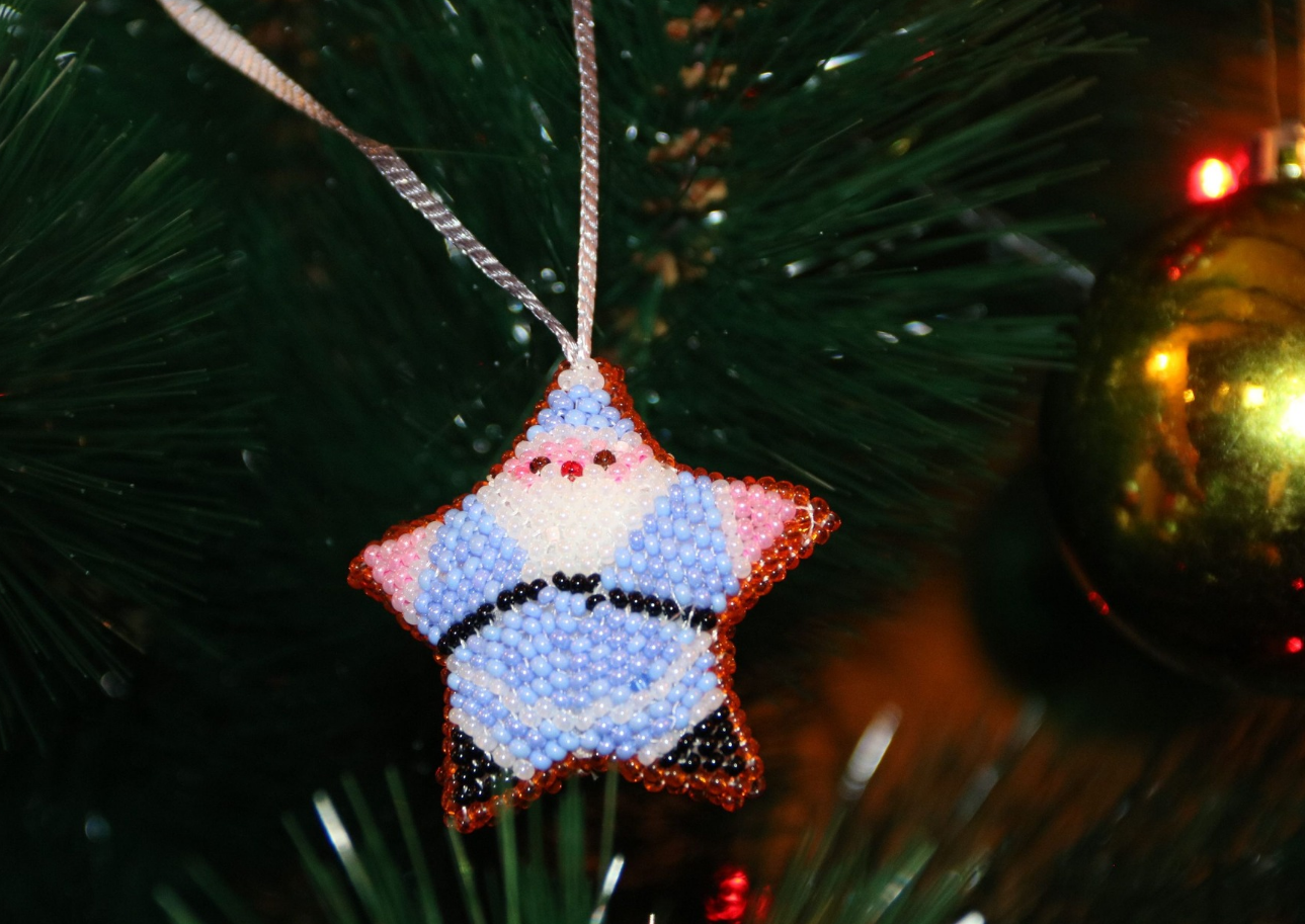 Колядки онлайн і "щаслива" пампушка. Як святкували Різдво українські полярники (фото)