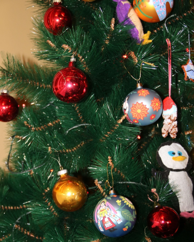 Колядки онлайн і "щаслива" пампушка. Як святкували Різдво українські полярники (фото)