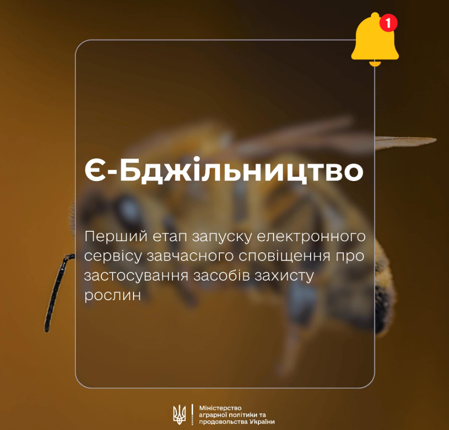 В Україні запускають систему "Є-Бджільництво": що зміниться для пасічників і аграріїв