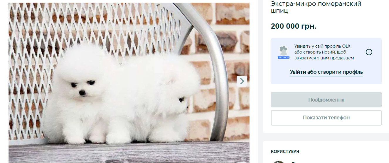 Украинцам предлагают собак за более чем 150 тысяч. Какие породы самые популярные и почему