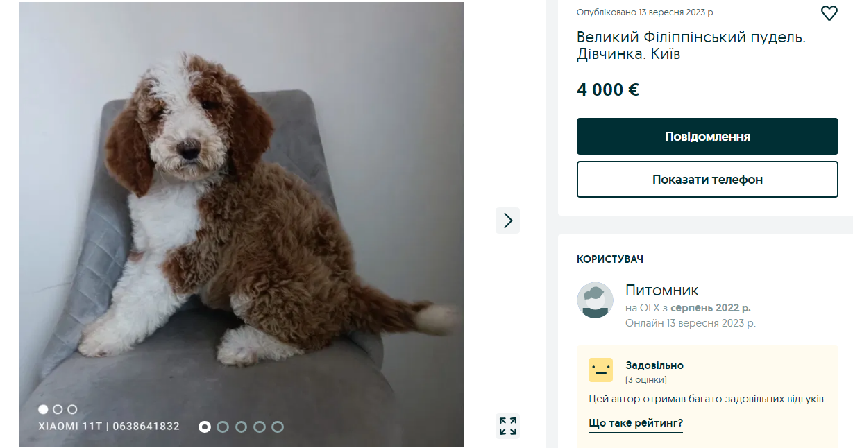 Украинцам предлагают собак за более чем 150 тысяч. Какие породы самые популярные и почему