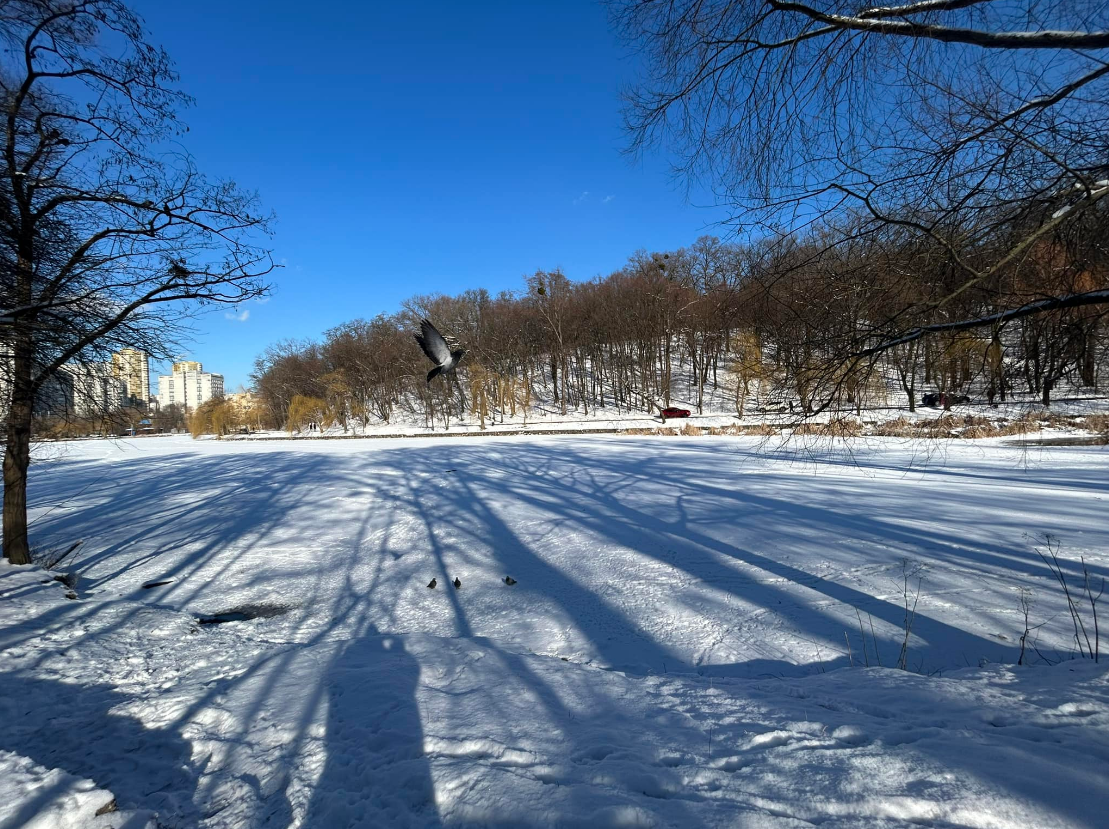 Синоптик назвала дату потепления в Украине: сколько осталось ждать