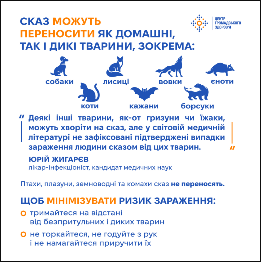 Без лікування призводить до смерті: чим небезпечний сказ і що робити після укусу тварини