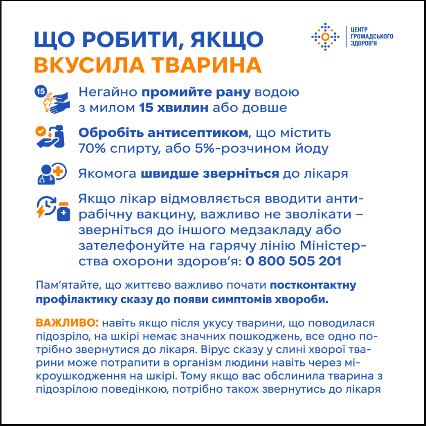 Без лікування призводить до смерті: чим небезпечний сказ і що робити після укусу тварини