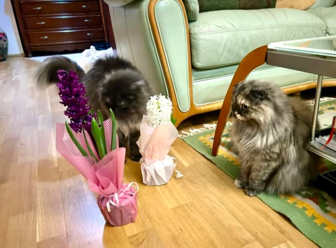 Ймовірні заморозки та мокрий сніг. Синоптик сказала, коли українцям чекати похолодання