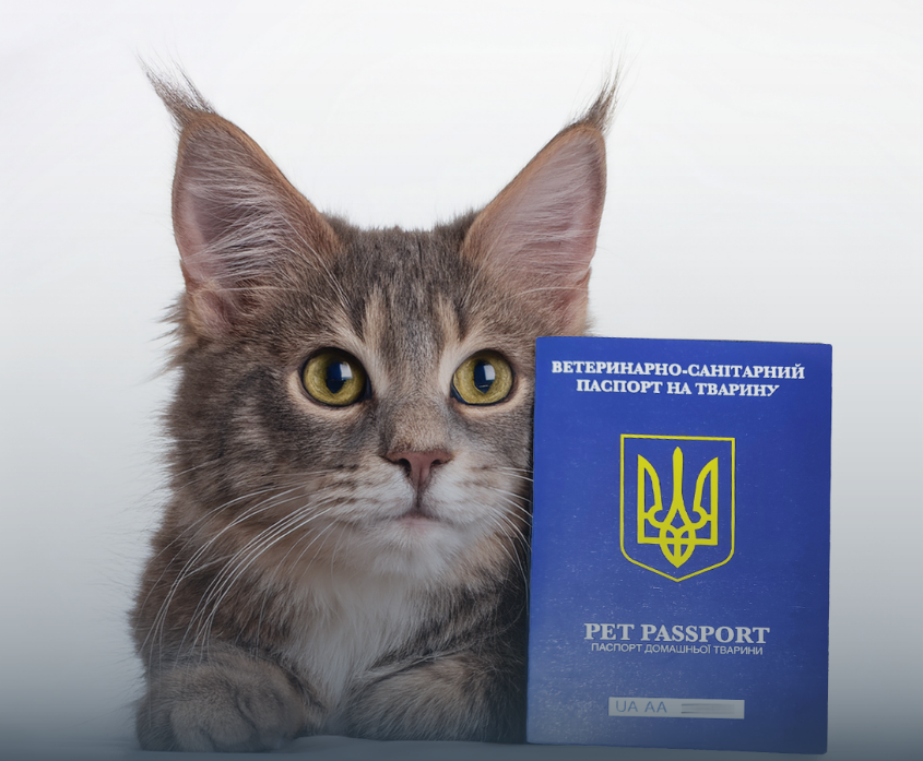 Офіційний ветпаспорт для тварини: як оформити та що для цього потрібно